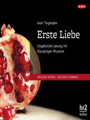 cover image of Erste Liebe